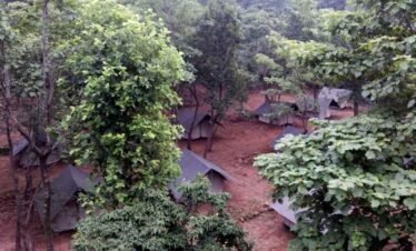 Camp Aquaterra Jungle camping in Byasi