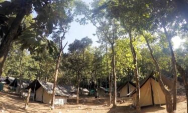 Camp Aquaterra Jungle camping in Rishikesh