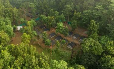 Jungle Camping in Rishikesh